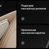 Массажное кресло Ergonova Organic LUX X Grey